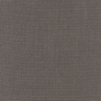 5489 Canvas Coal